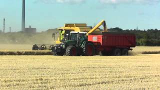 preview picture of video 'Mähdrescher New Holland TX 66 Weizenernte bei Hemmingstedt'