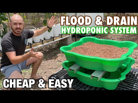 Cheap & Easy, DIY Flood And Drain Hydroponic System