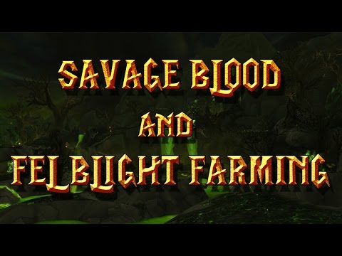 Savage blood and Fel Blight Farming guide 6.2.4  - World Of Warcraft Guide