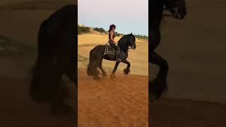 Download lagu tarian kuda ❤️ mp3