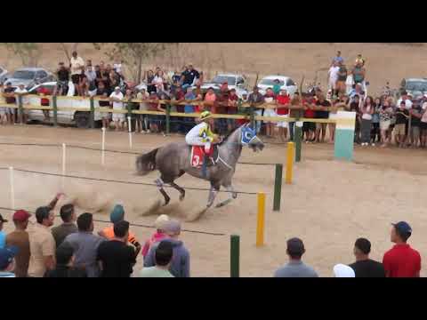 MONSENHOR TABOSA  17  01  2026 DESAFIO