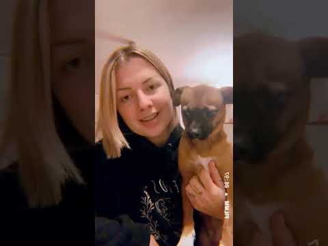 Marie Wasler - najavni video za performans