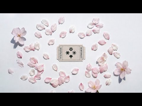 JUNNY 'SEASONS' Official Visualizer