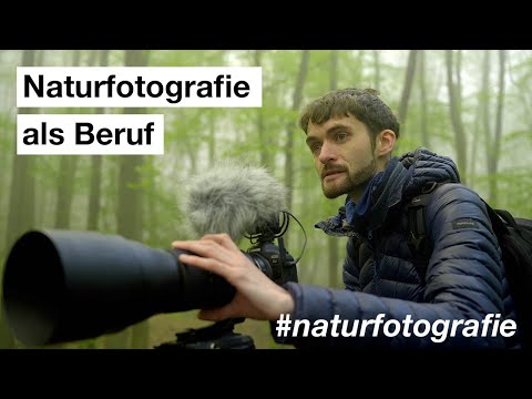 Naturfotografie als Beruf - Wie ich das geschafft habe