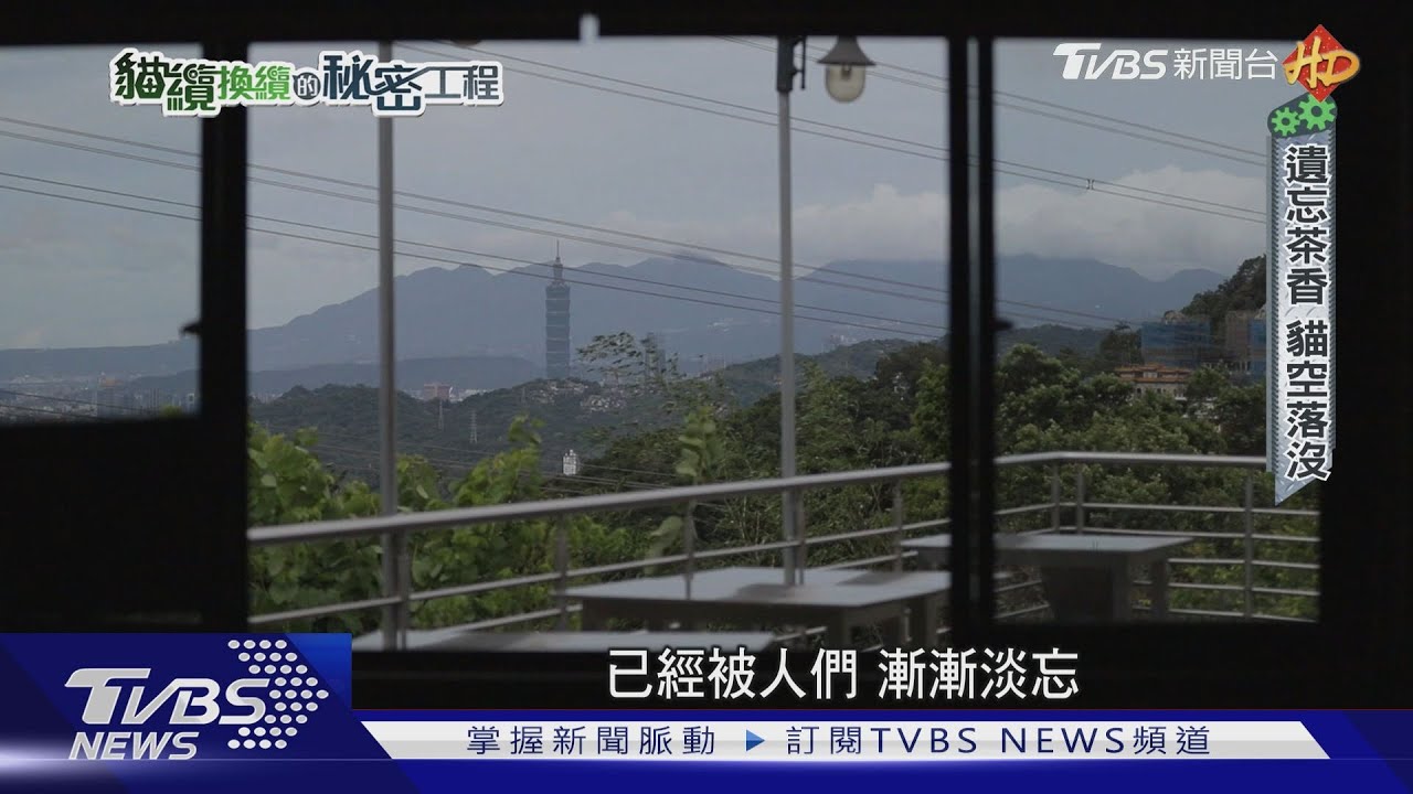 「三貓計畫」兩貓快餓死! 揭貓空落沒關鍵