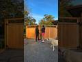 The Final Step Of Fencing Our Backyard We Built A Driveway Gate Carpentry Fencing