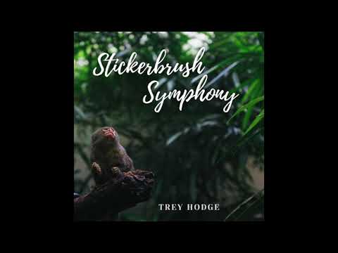Stickerbrush Symphony (from "Donkey Kong Country 2") | Funk-rock Fusion cover by Trey Hodge