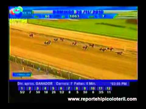 Resumen La Rinconada Domingo 28/11/2010