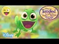 Tangled The Series Pascal S Wheel Game Official Disney Channel UK
