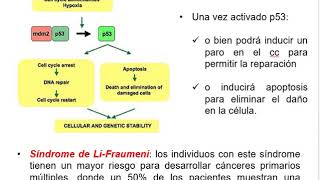 Control del CC y reparación del ADN (Parte 1) - Biología Celular y Tisular