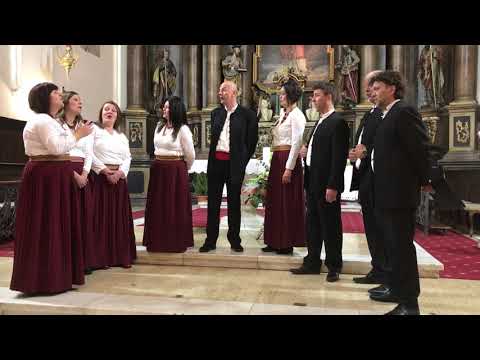 Dr Siniša Car i Klapa Kurent