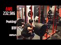 로우바 스쿼트 232.5kg | 팔꿈치 부상을 극복한 방법