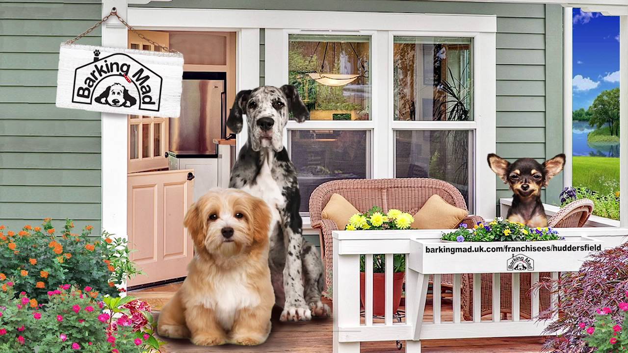 BARKING MAD DOG CARE HUDDERSFIELD COMMERCIAL