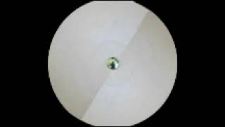 Plural - R.Y.S (Tetsuo 007-12) 1996. B1: Strong fish taste.