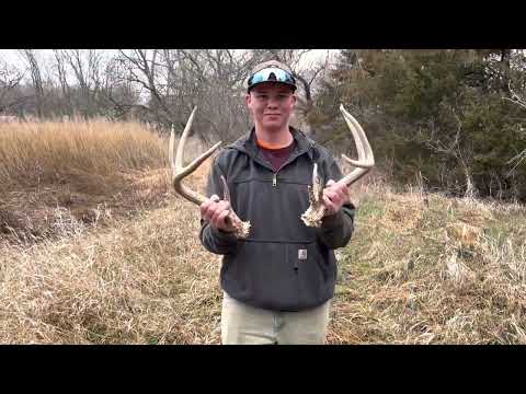 Kansas shed season FIRST SET OF THE YEAR