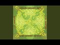 Memphis Shakedown (Live)