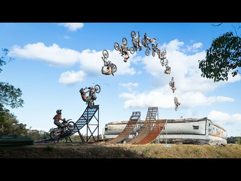 HARRY BINK | The Art of Focus