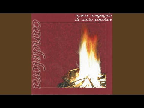 A vita è na taranta