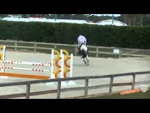 Eurocommerce Picasso