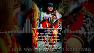 Download lagu Story wa jathil terbaru 2019 mp3 Download lagu Story wa jathil terbaru 2019 mp3