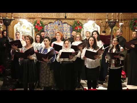 -In coliba-ntunecata-