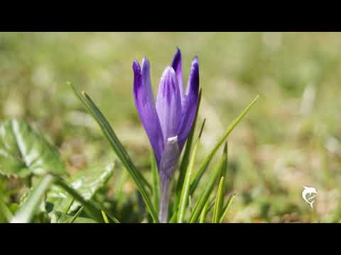 DROGA  Joanna Krycka & Andrzej Brzozowski