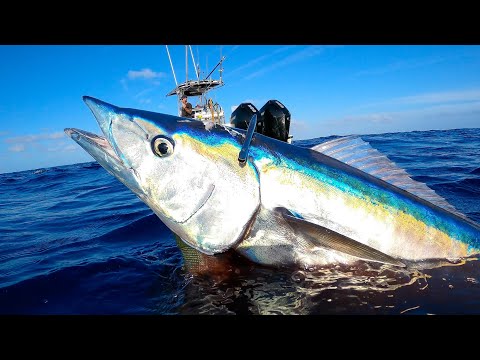 If You Can't Hook It... Shoot it! Commercial Fishing | Profit Breakdown