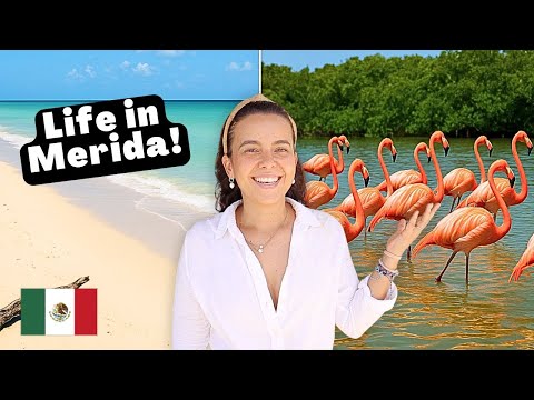 What we do for fun In Merida, Mexico as locals!