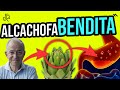 ALCACHOFA LA PLANTA BENDITA Oswaldo Restrepo RSC