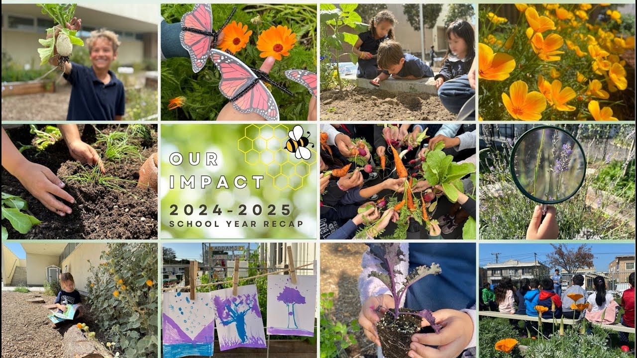 Our Impact 2024-2025