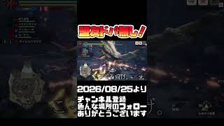 認定！盟友有りではドパれない！モンハンライズ サンブレイク#shorts 音楽：魔王魂 様