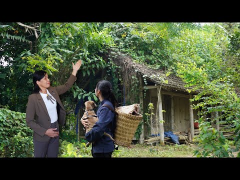 Rich CEO gives poor girl an abandoned house - new life starts from zero