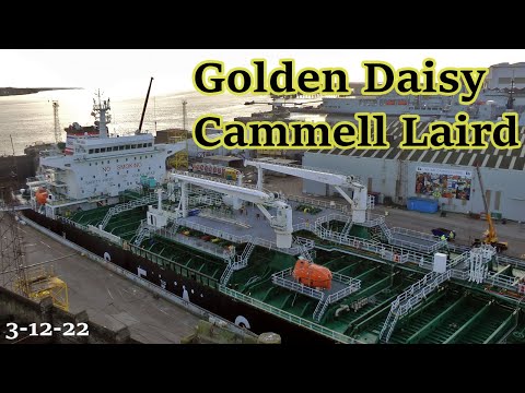 Golden Daisy Tanker In Cammell Laird