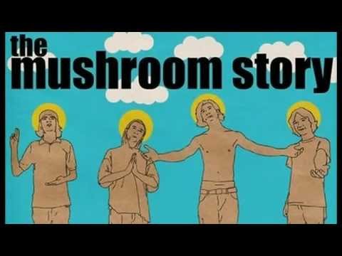 The Mushroom Story - Bad Flash