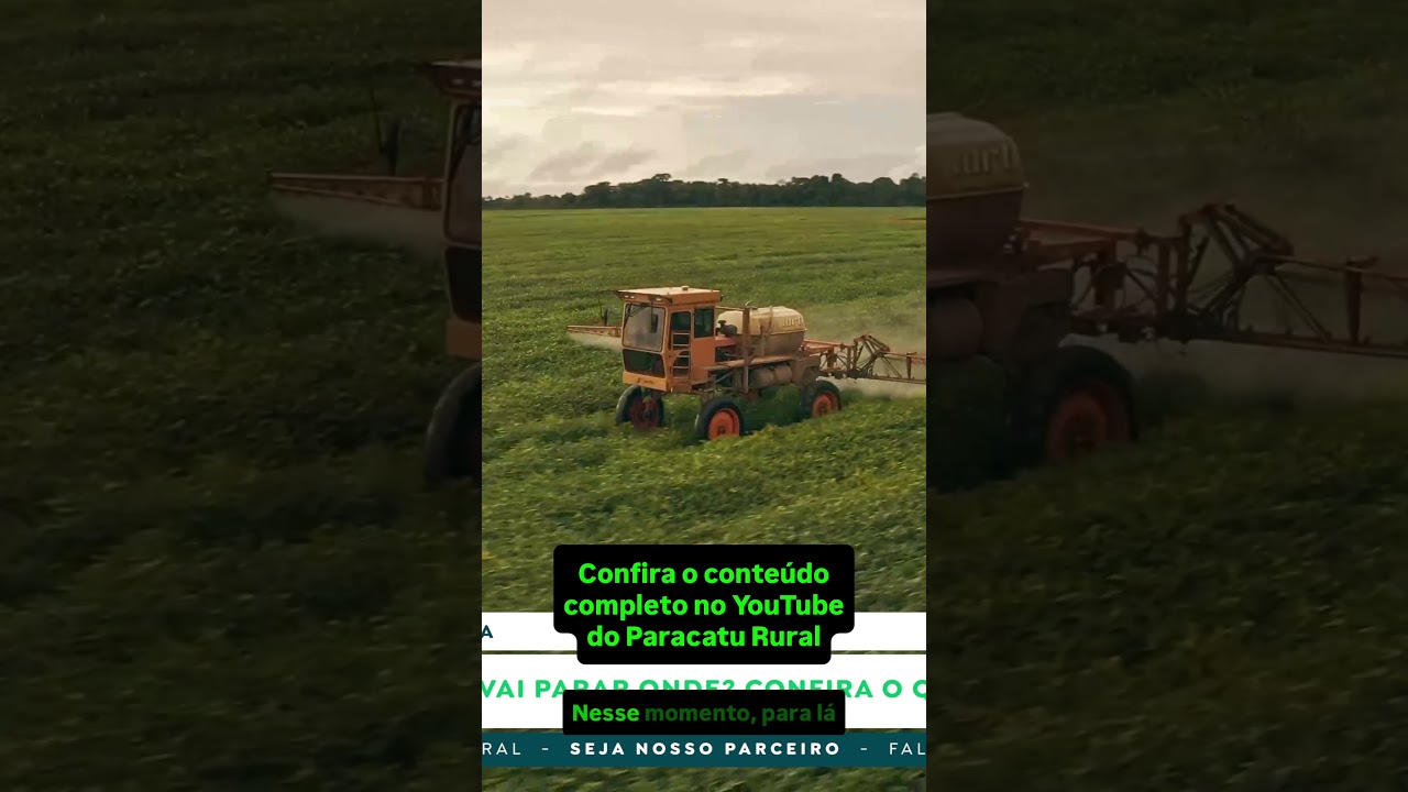 Preço da soja vai parar onde? Confira o cenário do milho e a surpresa na safra de sorgo!