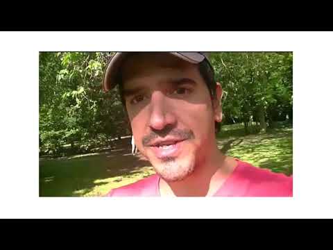 Overview of Your Amazing Brain