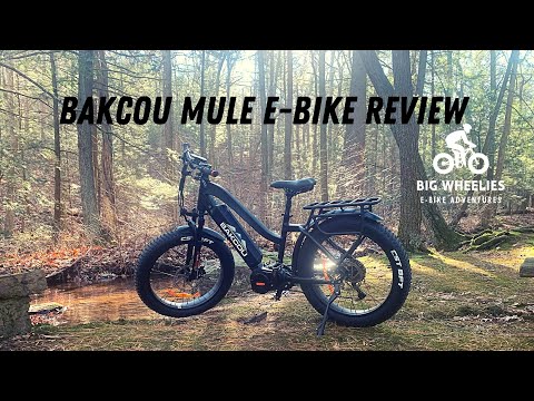 Bakcou Mule Review #Bakcou #Mule #Review #Ebike #Electricbiike #FatTire #ebikes