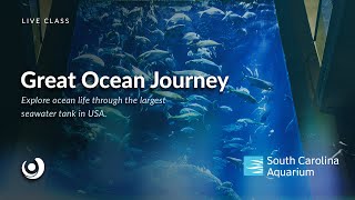 Varsity Tutors' StarCourse - Great Ocean Journey Presented by the South Carolina Aquarium