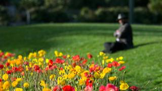 Country Music - Marley's Ghost - "Your Love Is Like The Mountain Water"