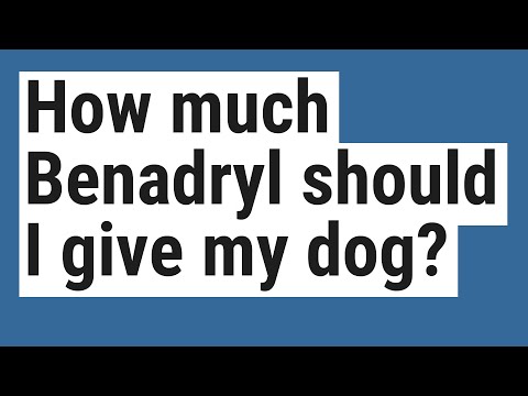 How much Benadryl should I give my dog?