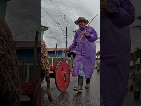 OS CARREIROS EM SAPUCAÍ MIRIM MG