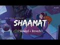 Shaamat - Lofi (Slowed + Reverb) | Ankit Tiwari, Tara Sutaria | SR Lofi