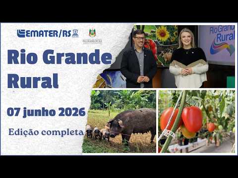 Rio Grande Rural 1431 - 07/06/2026