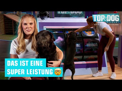 Frieda and Mia are a great team! 🥳🤯 | Top Dog Germany