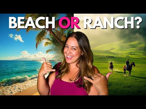 Top 5 Places to Live on the Big Island of Hawaii