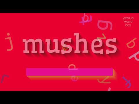 HOW TO PRONOUNCE MUSHES?