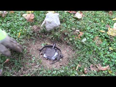 Coyote Trapping.....Dug up traps,  lets discuss it