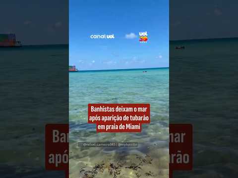 Banhistas deixam o mar após aparição de tubarão em praia de Miami
