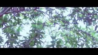 Sobre o tempo - Pato Fu (clipe)