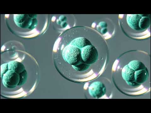 Cells healing - Deep healing and gratitude for the body